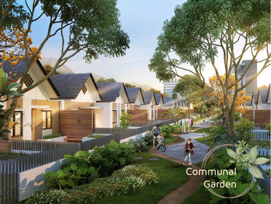 comunal garden cluster citrus