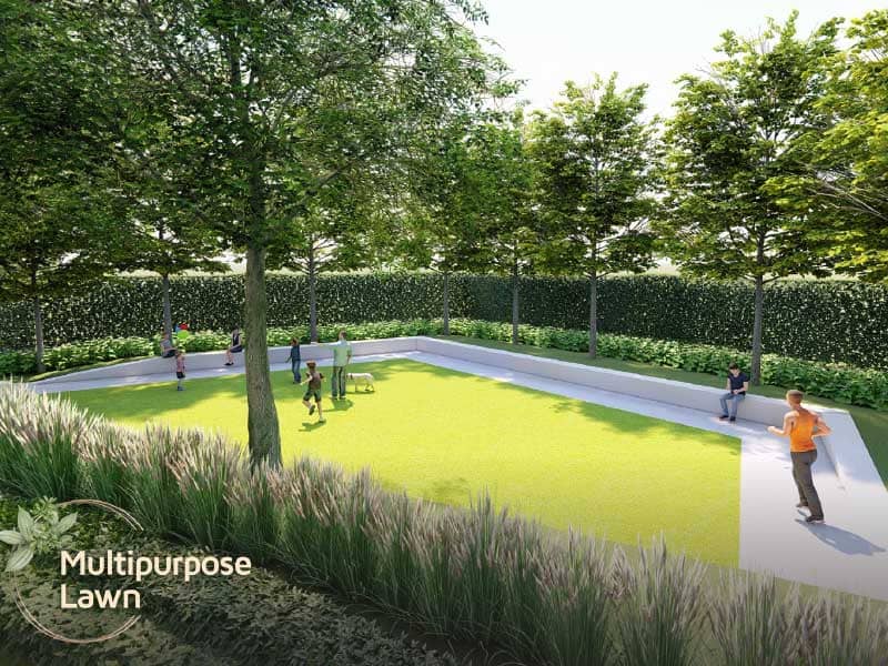 multi purpose lawn