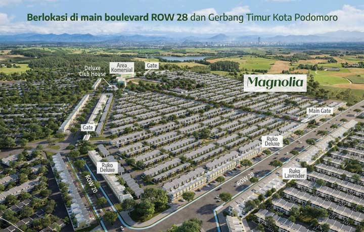 cluster magnolia row 28